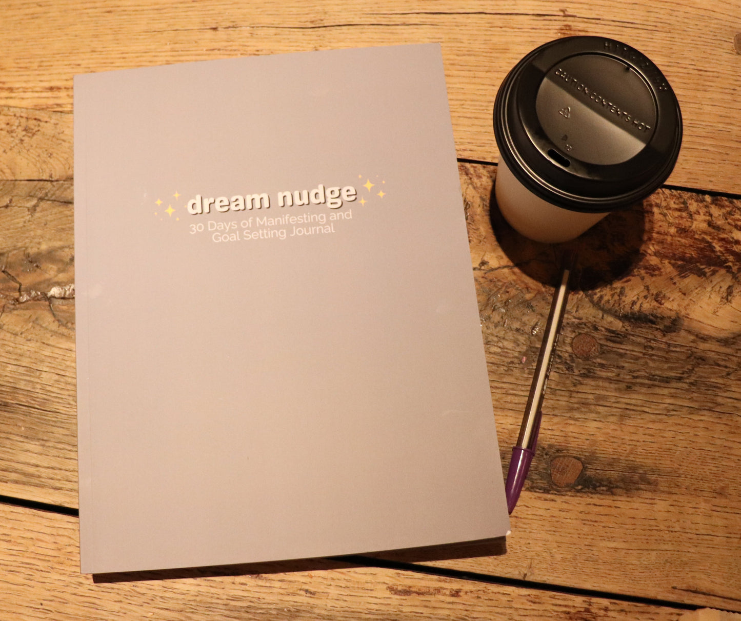 Dream Nudge - The Workbook With Passion Project MGMT With Weekly 15 Minute Check-In Meetings