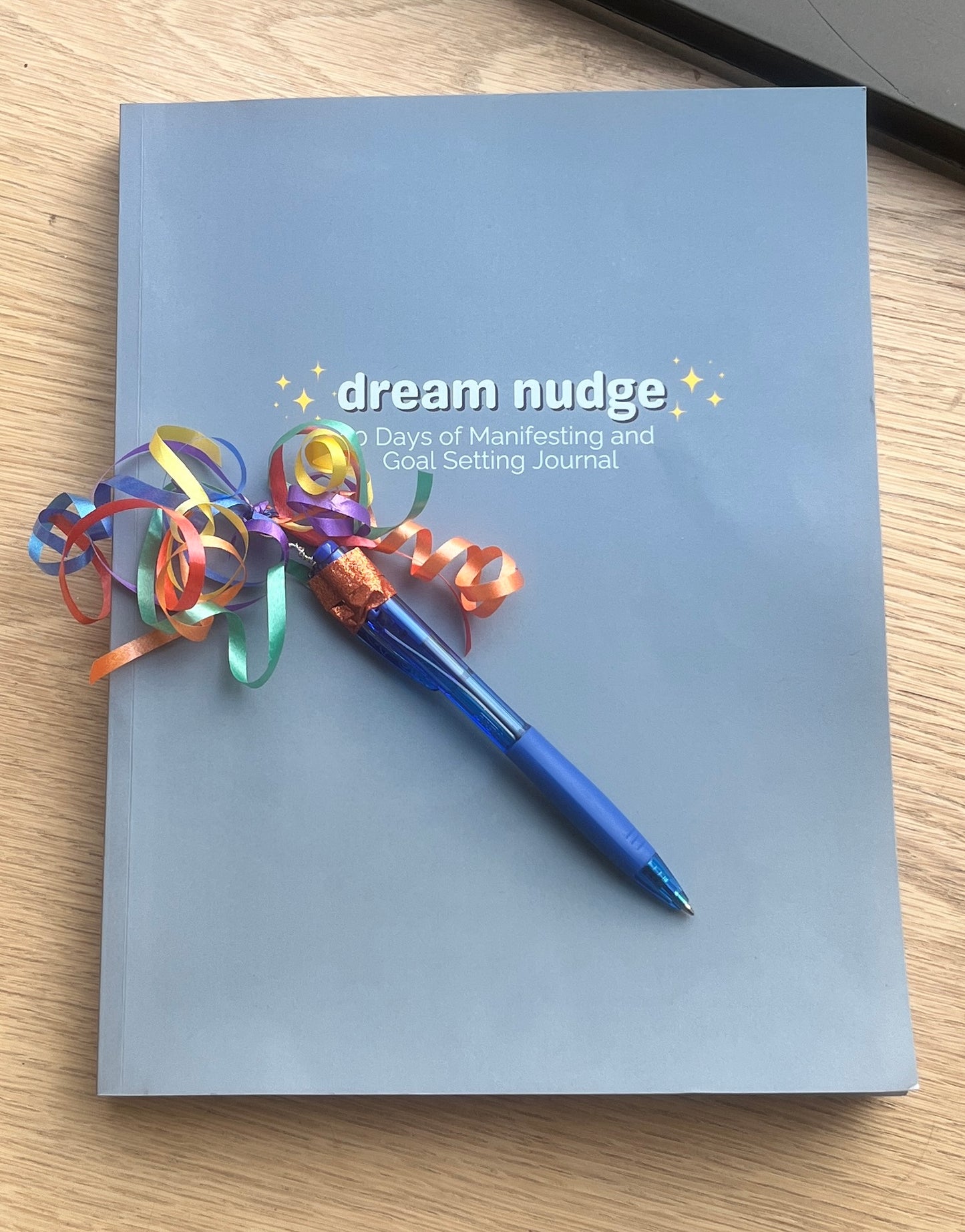 Dream Nudge - The Workbook With Passion Project MGMT With Weekly 15 Minute Check-In Meetings