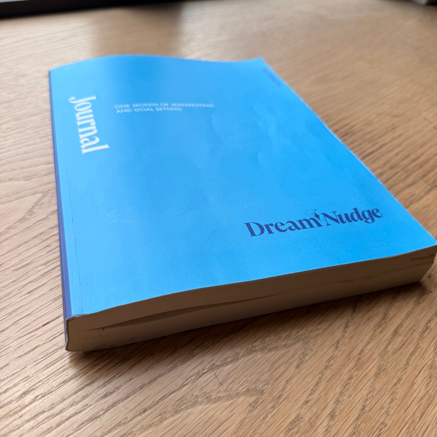 ADHD Goal Setting Journal | 31-Day Guided Journal for Creatives & Neurodivergent Minds | DreamLine Goal Mapping | Physical Book