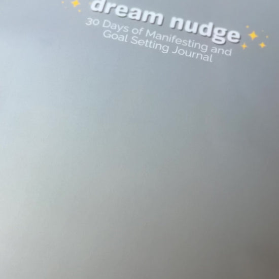 what's inside the book! dream nudge
